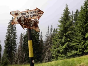 Intersectie de trasee in Padinile Frumoase